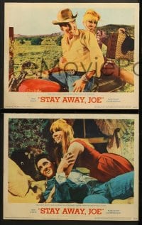 1d284 STAY AWAY JOE 8 LCs 1968 great images of Elvis Presley w/sexy Quentin Dean, Joan Blondell!