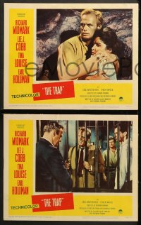 1d321 TRAP 8 LCs 1959 Richard Widmark, Lee J. Cobb, sexy Tina Louise, Earl Holliman!