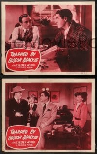 1d703 TRAPPED BY BOSTON BLACKIE 4 LCs 1948 detective Chester Morris killing low-down, high society!