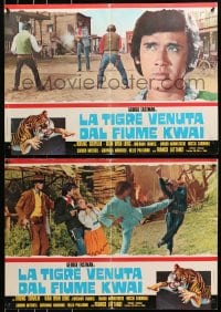 1f988 TIGER FROM RIVER KWAI group of 6 Italian 19x27 pbustas 1975 George Eastman, cool kung fu!