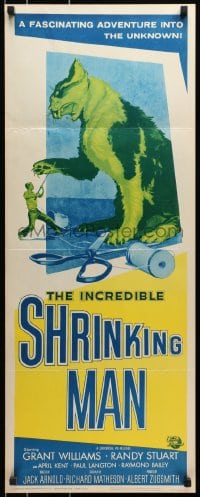 1p093 INCREDIBLE SHRINKING MAN insert R1964 Jack Arnold, classic art of tiny man & giant cat!