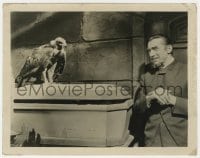 1r132 WHITE ZOMBIE 8x10.25 still 1932 cool image of crazed Bela Lugosi by bird perched on coffin!