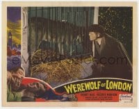 1r330 WEREWOLF OF LONDON LC #8 R1951 Wolfman Henry Hull in makeup looking at real wolf in cage!