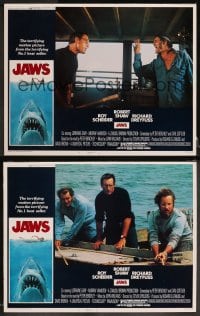1r346 JAWS 8 LCs 1975 Roy Scheider, Robert Shaw, Richard Dreyfuss, Steven Spielberg, complete set!