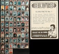 1s670 LOT OF 66 ELVIS PRESLEY COLLECTOR CARDS 1978 complete set of portraits with facts on back!
