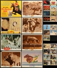1s429 LOT OF 29 WALT DISNEY LOBBY CARDS 1960s-1970s incomplete sets from a variety of movies!