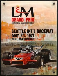 1w392 L & M GRAND PRIX 19x25 special poster 1973 art of a Formula 5000 race car by Stacy!