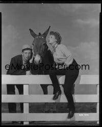 1x053 FRANCIS GOES TO THE RACES 8x10 negative 1951 Donald O'Connor, Piper Laurie & talking mule!
