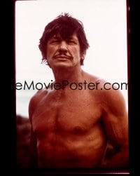 1x337 DEATH WISH 4x5 transparency 1974 great close portrait of barechested Charles Bronson!