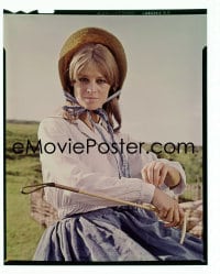 1x349 FAR FROM THE MADDING CROWD 4x5 transparency 1968 portrait of Julie Christie, Schlesinger!