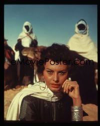 1x372 LEGEND OF THE LOST 4x5 transparency 1957 c/u of beautiful Sophia Loren in the Sahara Desert!