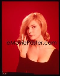 1x254 YVETTE MIMIEUX group of 5 4x5 transparencies 1960 portraits while making Where the Boys Are!