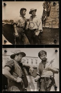 2d374 DAVY CROCKETT & THE RIVER PIRATES 10 from 6.75x8.5 to 7x9.25 stills 1956 Disney, Fess Parker in the title role!