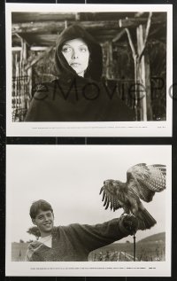 2d567 LADYHAWKE 7 8x10 stills 1985 Michelle Pfeiffer, young Matthew Broderick, Rutger Hauer!