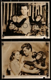 2d652 TARZAN'S HIDDEN JUNGLE 6 8x10 stills 1955 Vera Miles with Gordon Scott & Zippy the chimp!