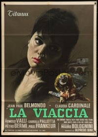 2f131 LA VIACCIA Italian 1p 1961 Bolognini's La Viaccia, Marog art of beautiful Claudia Cardinale!