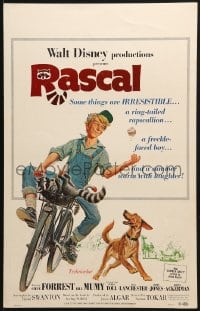 2f370 RASCAL WC 1969 Walt Disney, great art of Bill Mumy on bike with raccoon & dog!