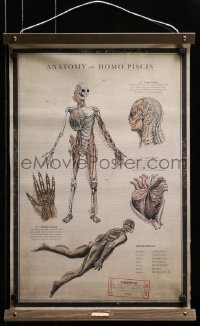 2k021 SHAPE OF WATER 18x27 special promotional poster 2017 anatomy chart of the Amphibian Man!