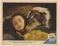 2m296 COURAGE OF LASSIE LC #6 1946 sad Lassie realizes she knows Elizabeth Taylor, best close up!