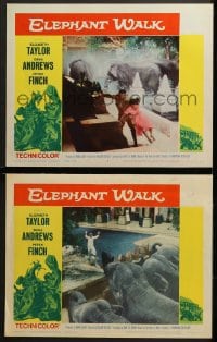 2r879 ELEPHANT WALK 2 LCs R1960 Elizabeth Taylor, the hotter than hot star burns up the screen!