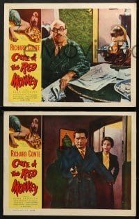 2r068 CASE OF THE RED MONKEY 8 LCs 1955 Richard Conte solves the impossible crime, Rona Anderson!