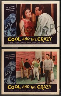 2r480 COOL & THE CRAZY 6 LCs 1958 savage punks on binge of violence, Dick Bakalyan, classic '50s!