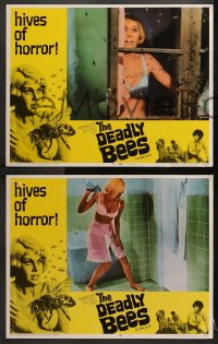 2r630 DEADLY BEES 4 LCs 1967 hives of horror, fatal stings, great horror images!