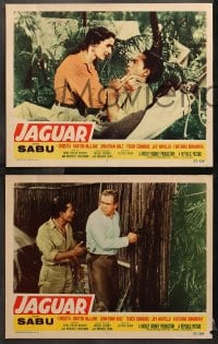 2r427 JAGUAR 7 LCs 1955 Barton MacLane with sexy Chiquita, Sabu in jungle!