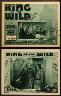 2r196 KING OF THE WILD 8 chapter 2 LCs 1931 cool Mascot all-talking serial, The Tiger of Destiny!