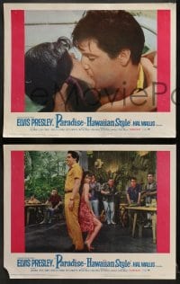 2r266 PARADISE - HAWAIIAN STYLE 8 LCs 1966 great images of Elvis Presley with sexy tropical babes!