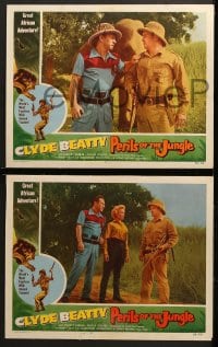 2r680 PERILS OF THE JUNGLE 4 LCs 1953 Clyde Beatty in his great African adventure!