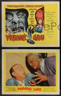 2r273 PHARAOH'S CURSE 8 LCs 1956 a blood-sucking mummy & a seductive cat-goddess, cool horror images!