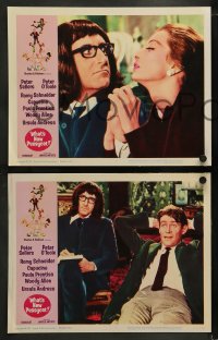 2r379 WHAT'S NEW PUSSYCAT 8 LCs 1965 Woody Allen, Peter O'Toole, Peter Sellers, Capucine, Andress!