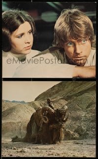3a076 STAR WARS 2 color deluxe 8x10 stills 1977 Lucas classic epic, Luke, Leia, Tusken Raider!
