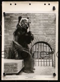 3a193 BEAR 15 8x11 key book stills 1963 Edmond Sechan's L'Ours, wacky bear images!