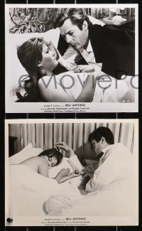 3a508 BELL' ANTONIO 7 8x10 stills 1962 Il Bell'Antonio, Marcello Mastroianni, Claudia Cardinale