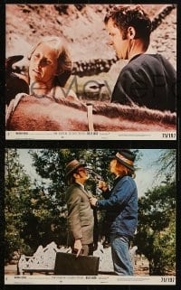 3a066 BILLY JACK 3 8x10 mini LCs 1971 Tom Laughlin, Delores Taylor, most unusual boxoffice success!
