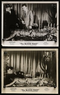 3a779 BLOOD FEAST 3 8x10 stills 1963 Herschell Gordon Lewis classic, great gory horror images!