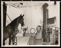 3a582 GALLANT BESS 6 8x10 stills 1947 Marshall Thompson, George Tobias and Bess the Horse!
