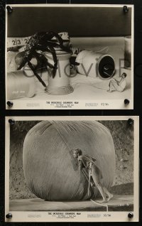 3a589 INCREDIBLE SHRINKING MAN 6 8x9.75 stills 1957 with great fx images of tiny Grant Williams!