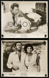 3a190 SUNFLOWER 16 8x10 stills 1970 Vittorio De Sica's I Girasoli, Sophia Loren, Marcello Mastroianni!