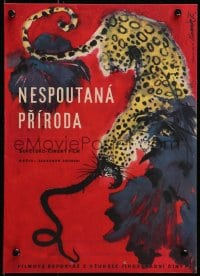 3f310 SECRETS OF NATURE Czech 11x16 1960 Nespoutana Priroda, Mirko Hanak art of big cat!