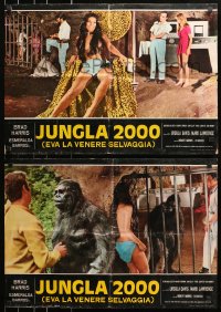 3f944 KING OF KONG ISLAND group of 6 Italian 19x27 pbustas R1970s Brad Harris & jungle girl Eva!