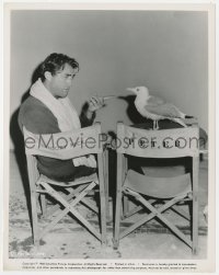 3h390 GUNS OF NAVARONE candid 8x10 still 1961 Gregory Peck on set arguing with seagull visitor!