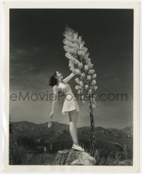 3h405 HELEN PARRISH 8x10 still 1939 beautiful actress in Maxfield Parrish-like pose by Ray Jones!