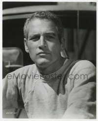 3h825 SOMETIMES A GREAT NOTION 7.75x9.5 still 1971 best close portrait of star Paul Newman!