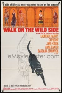 3j955 WALK ON THE WILD SIDE 1sh 1962 cool artwork of black cat on stairs & sexy stars on balcony!