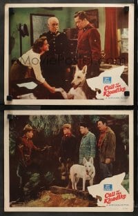3k809 CALL OF THE KLONDIKE 2 LCs 1950 Mountie Kirby Grant, Anne Gwynne, Wonder Dog Chinook!