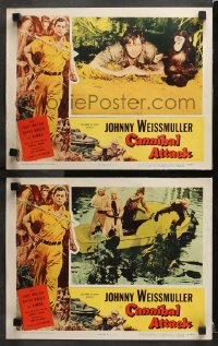 3k810 CANNIBAL ATTACK 2 LCs 1954 Johnny Weissmuller with kimba the Chimp, guys in alligator suits!