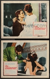 3k816 COLLECTOR 2 LCs 1965 Terence Stamp & Samantha Eggar, William Wyler directed!